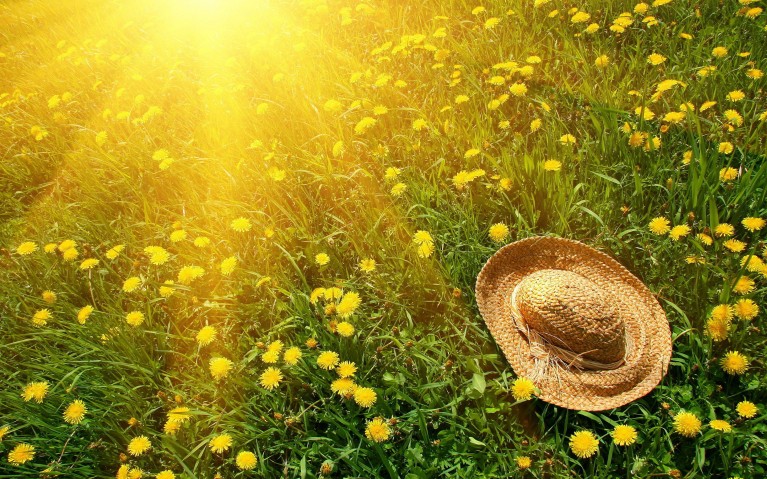 summer-sun-hat